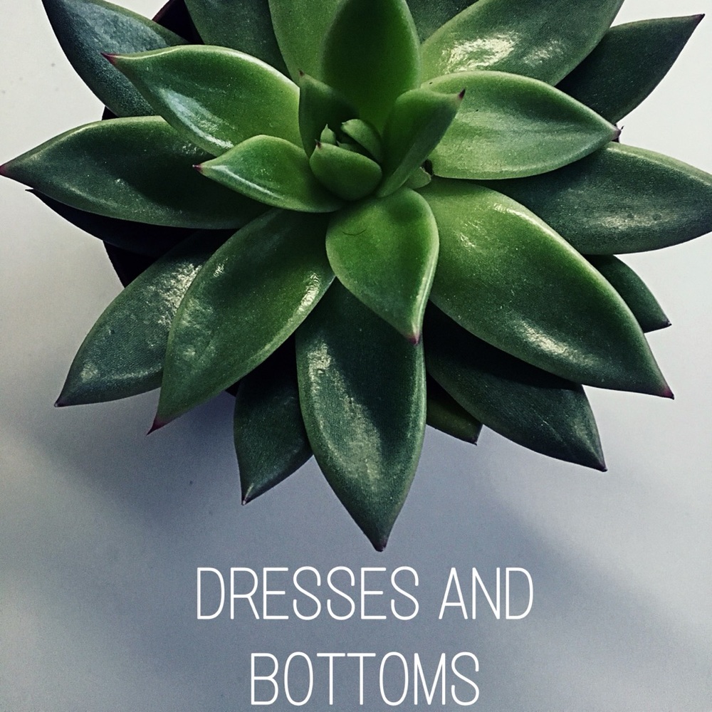 Dresses and Bottoms